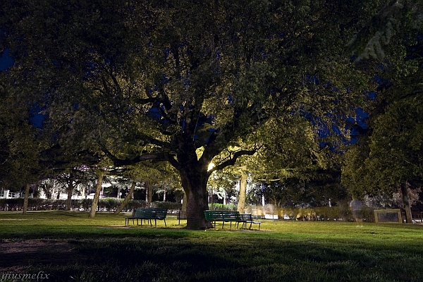 Ortobene, giardini by night - (IMG_1877_2).jpg